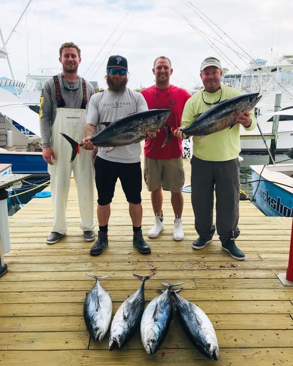 Bluefish Inshore, Bluefins Off