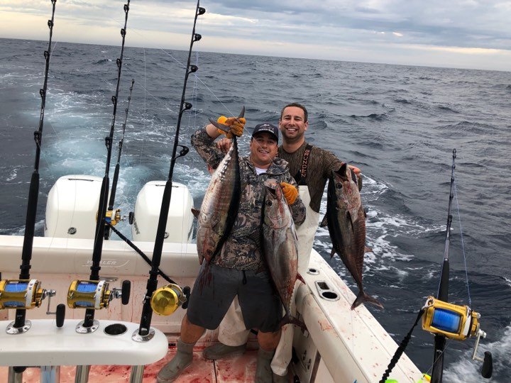 Good Bluefin Tuna Bite