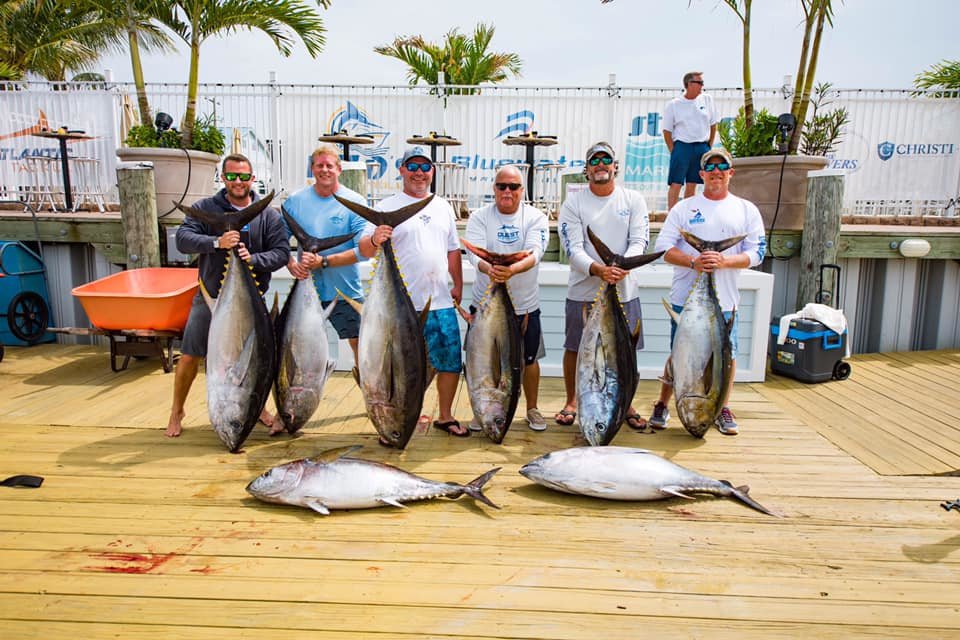 Absolutely Insane Bigeye Bite