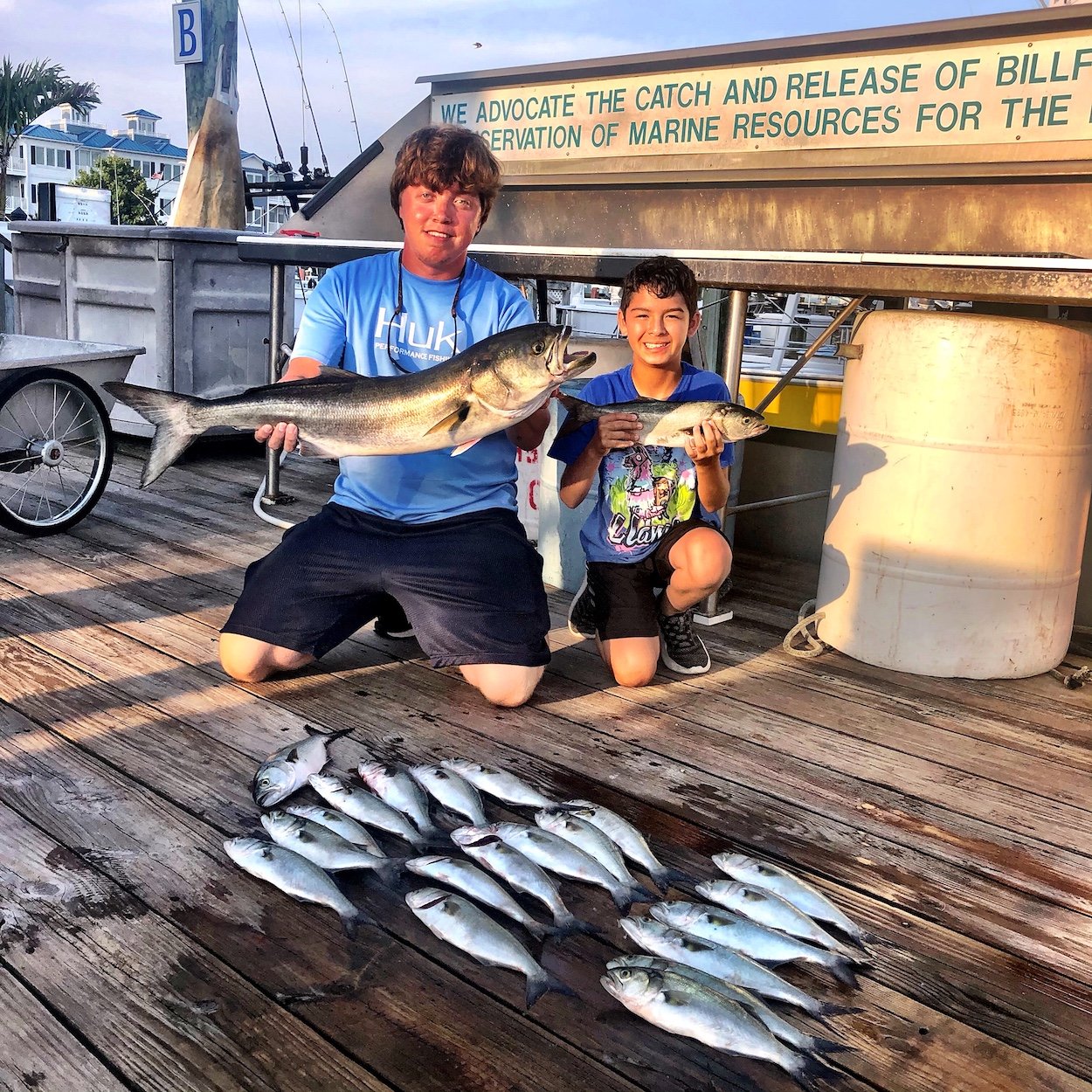 Triggers and Bluefish