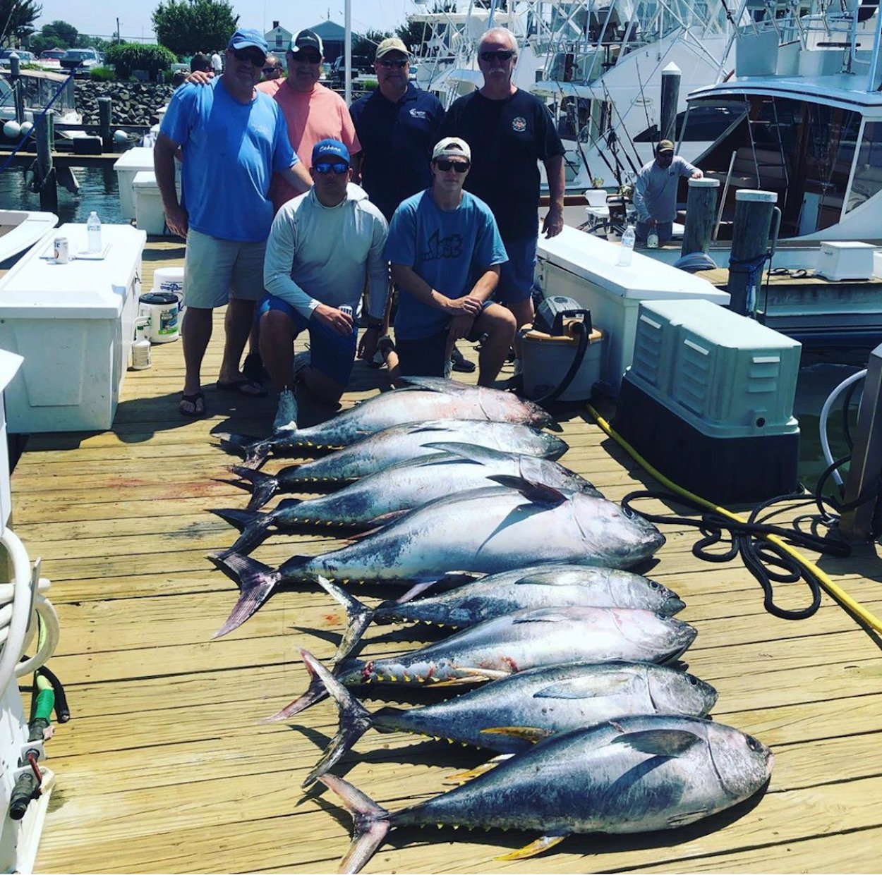 Tunas Bit Good