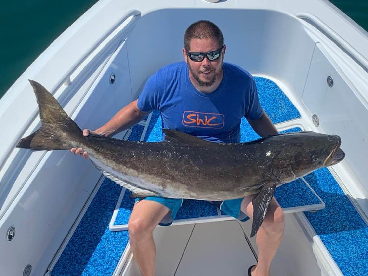 93 Pound Cobia