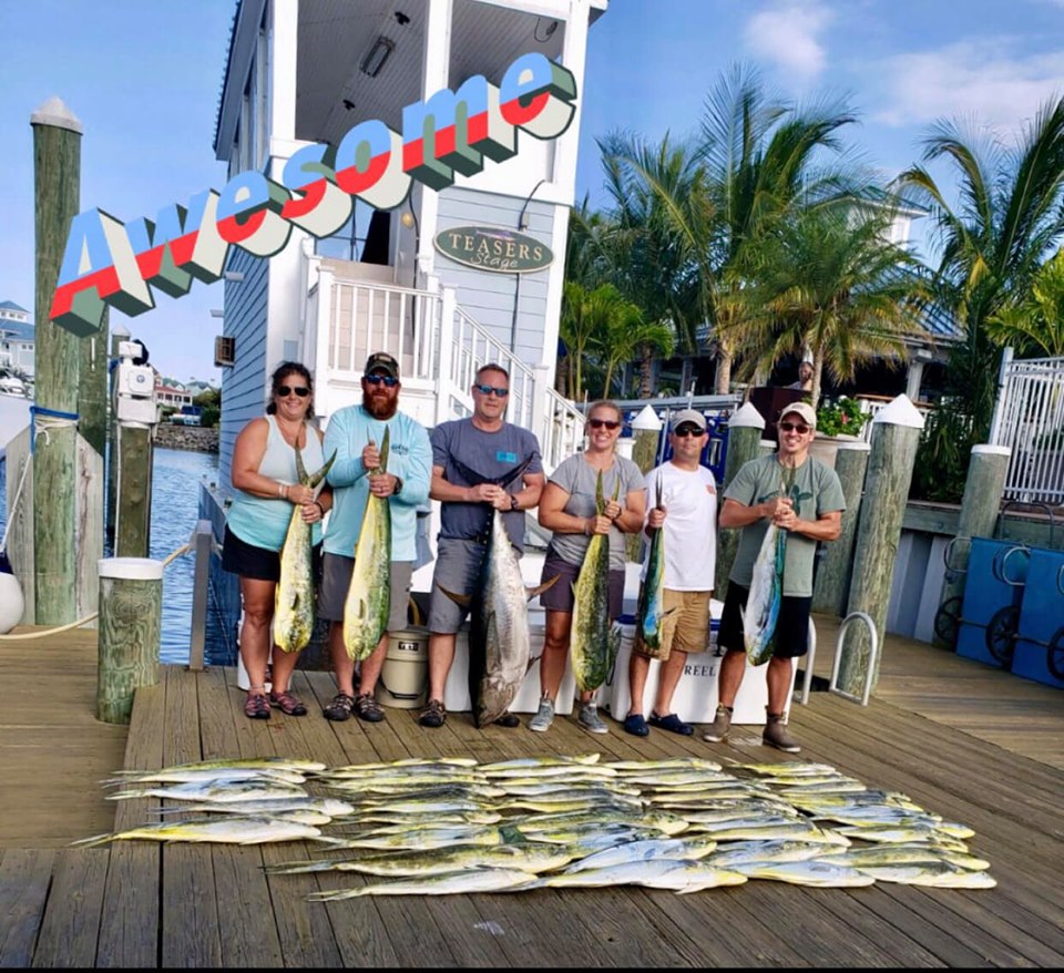 Whole Bunch of Dolphin and Some Tunas