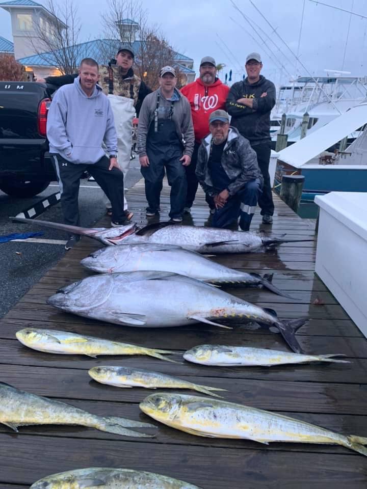 More BIG October Bigeyes and Limits of Sea Bass