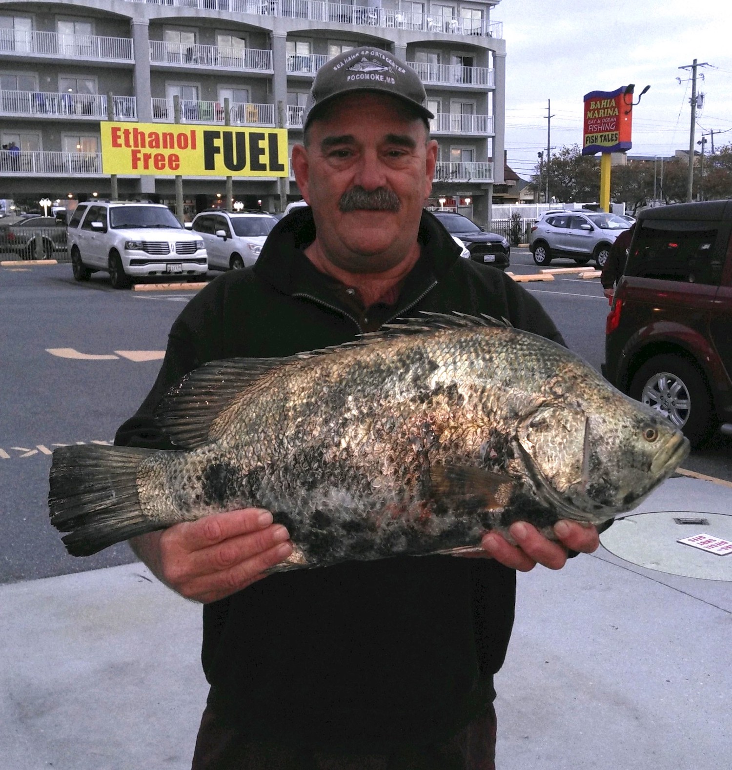 Potential Maryland State Record Triple Tail