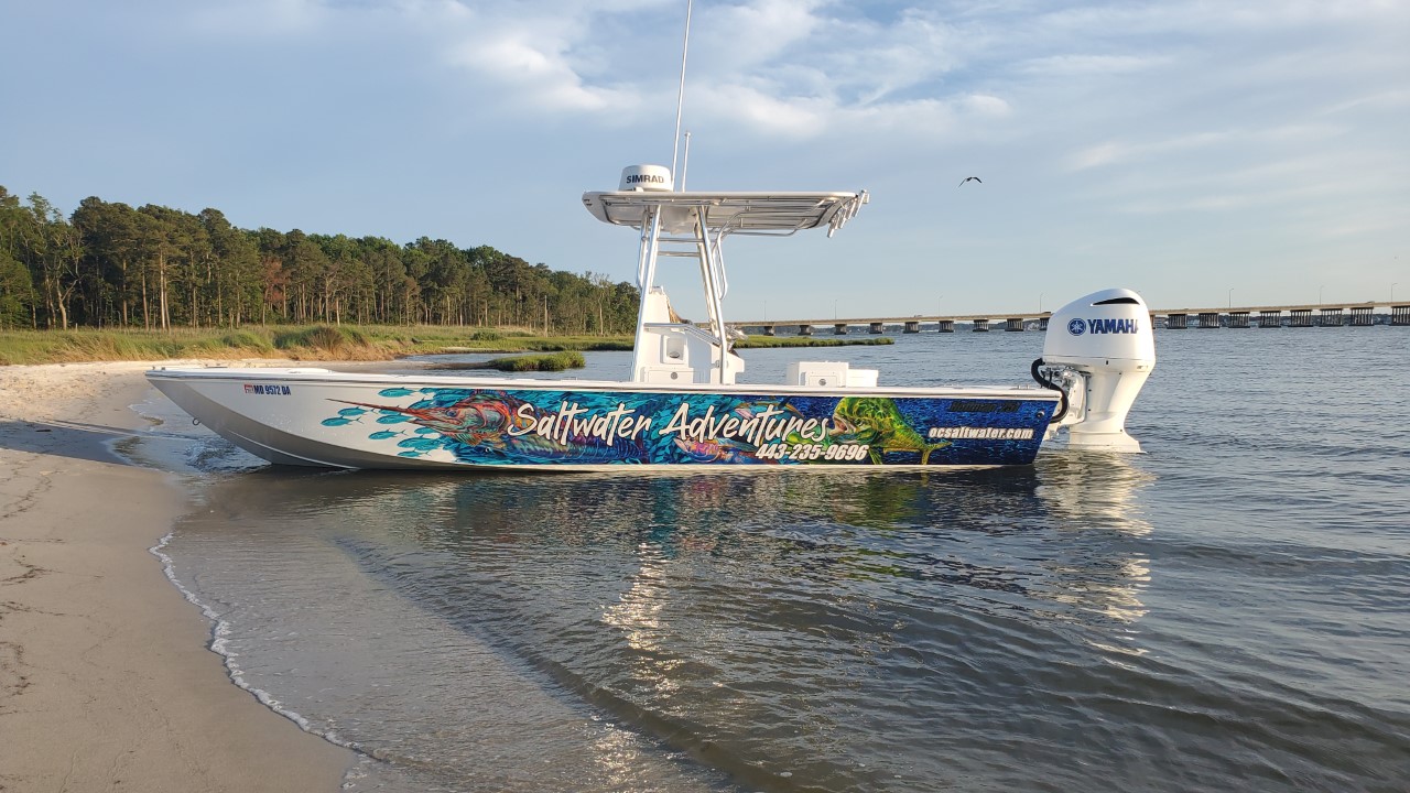 Saltwater Adventures