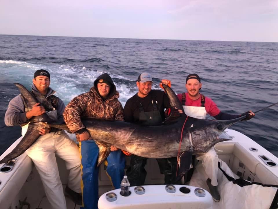 Swordfish, Bigeye, Red Drum and Trout