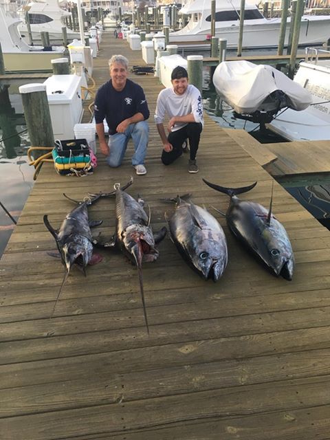 November Bigeyes and Swordfish