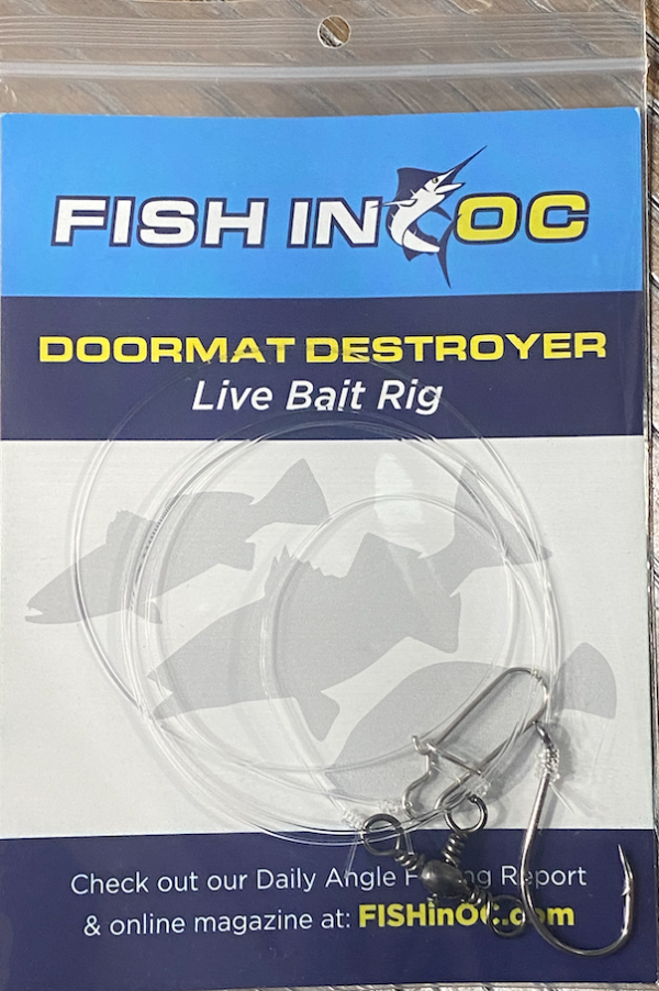Live Bait Rig