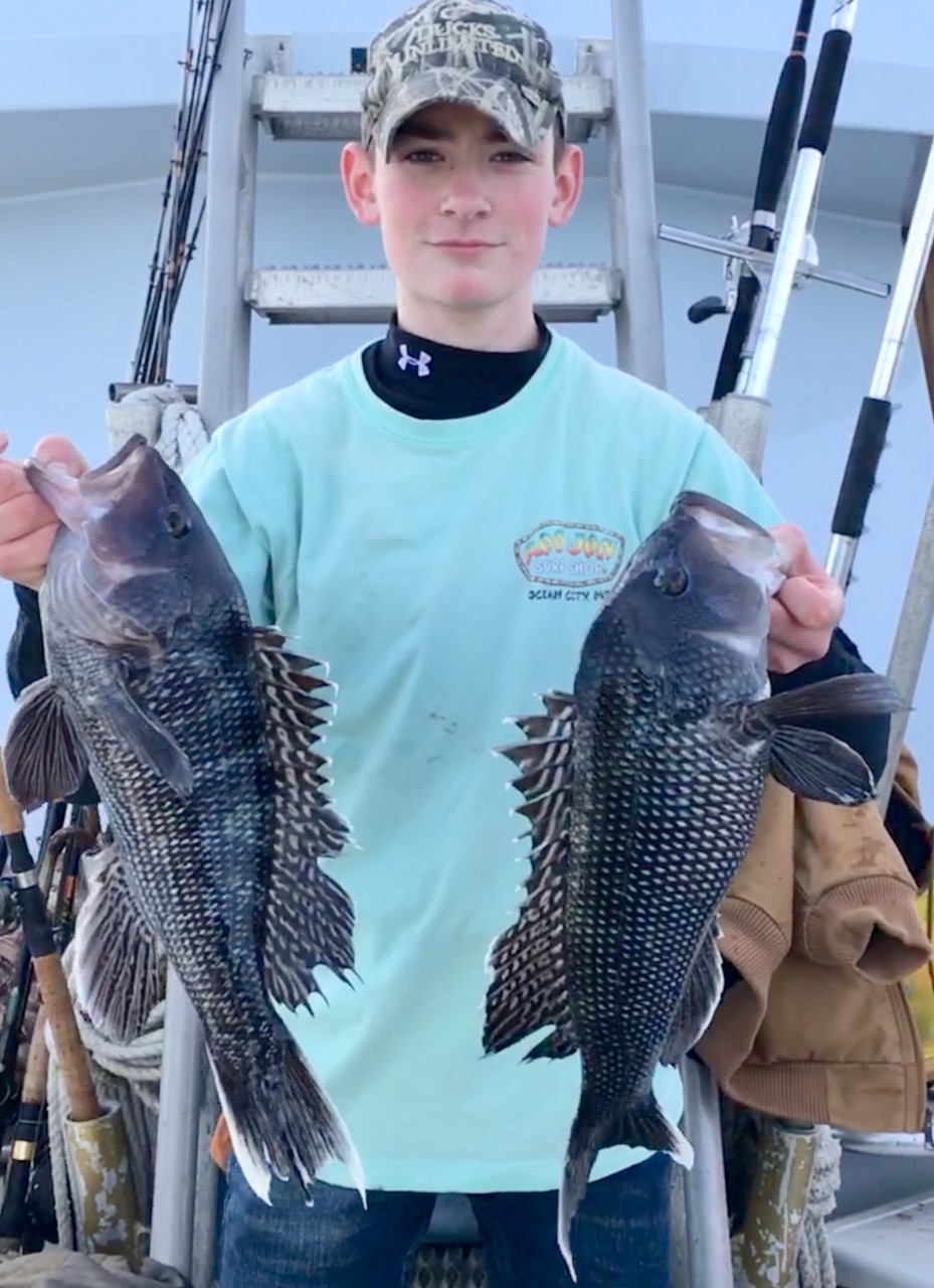 Bagged Out With Jumbo Sea Bass in Two Hours