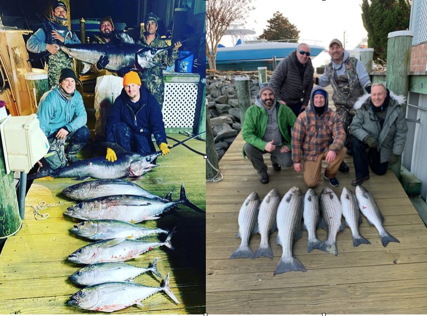 Stupid December Fishing