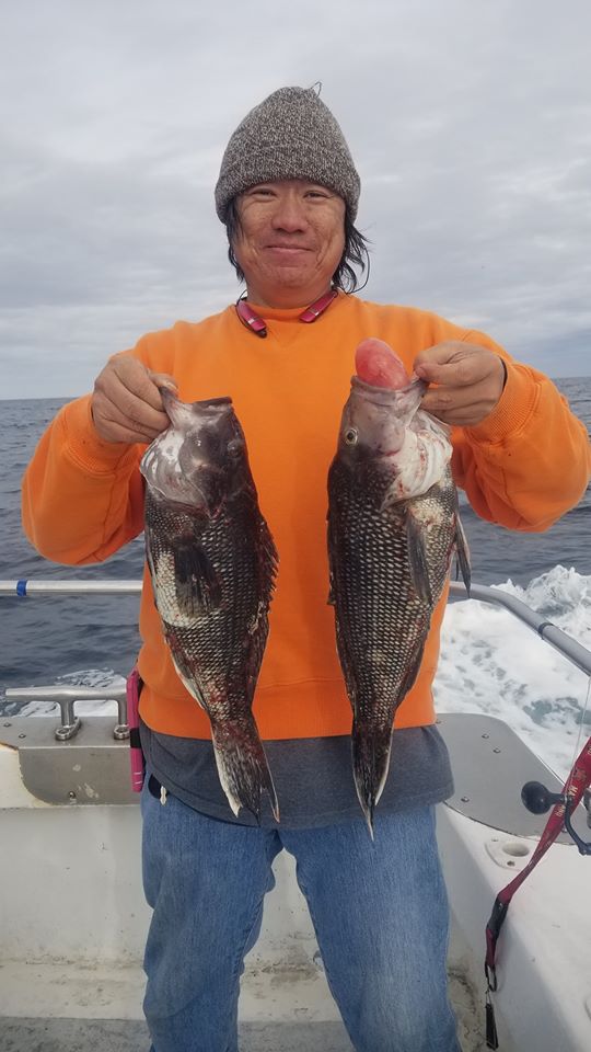 Fish Up to Five Pounds