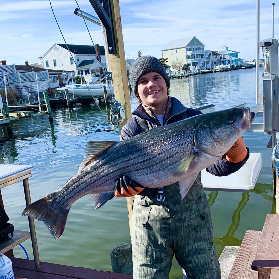 Some Big Rockfish Showed Up