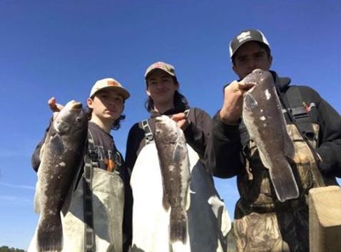 Tautog in the Back Bay