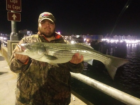 Maryland Lifts Boating and Fishing Restrictions