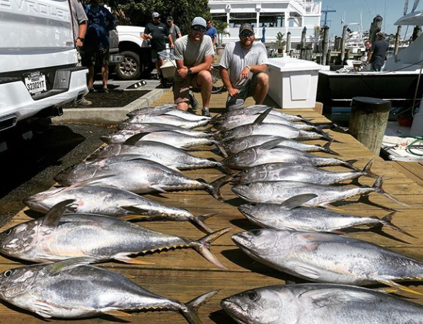 Another Insane Day of Tuna Fishing