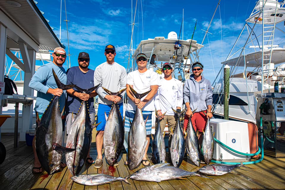 Found Some More Tunas Today