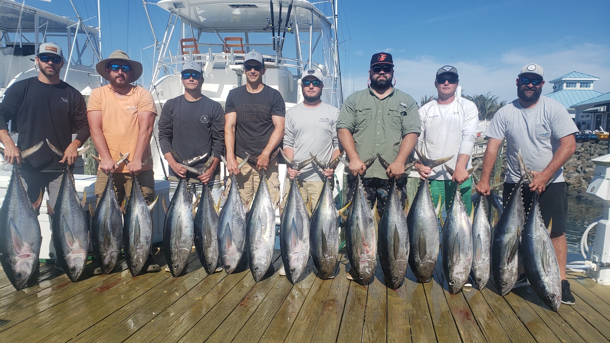 They Killed the Tuna Today!