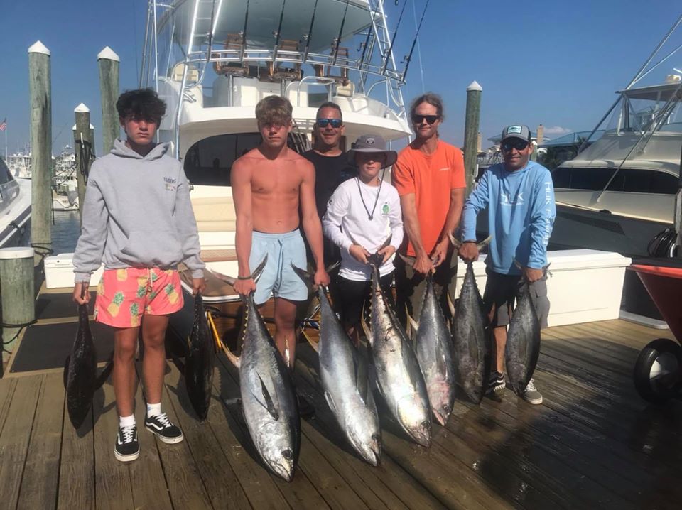 Tunas and Sea Bass are Still Snappin’