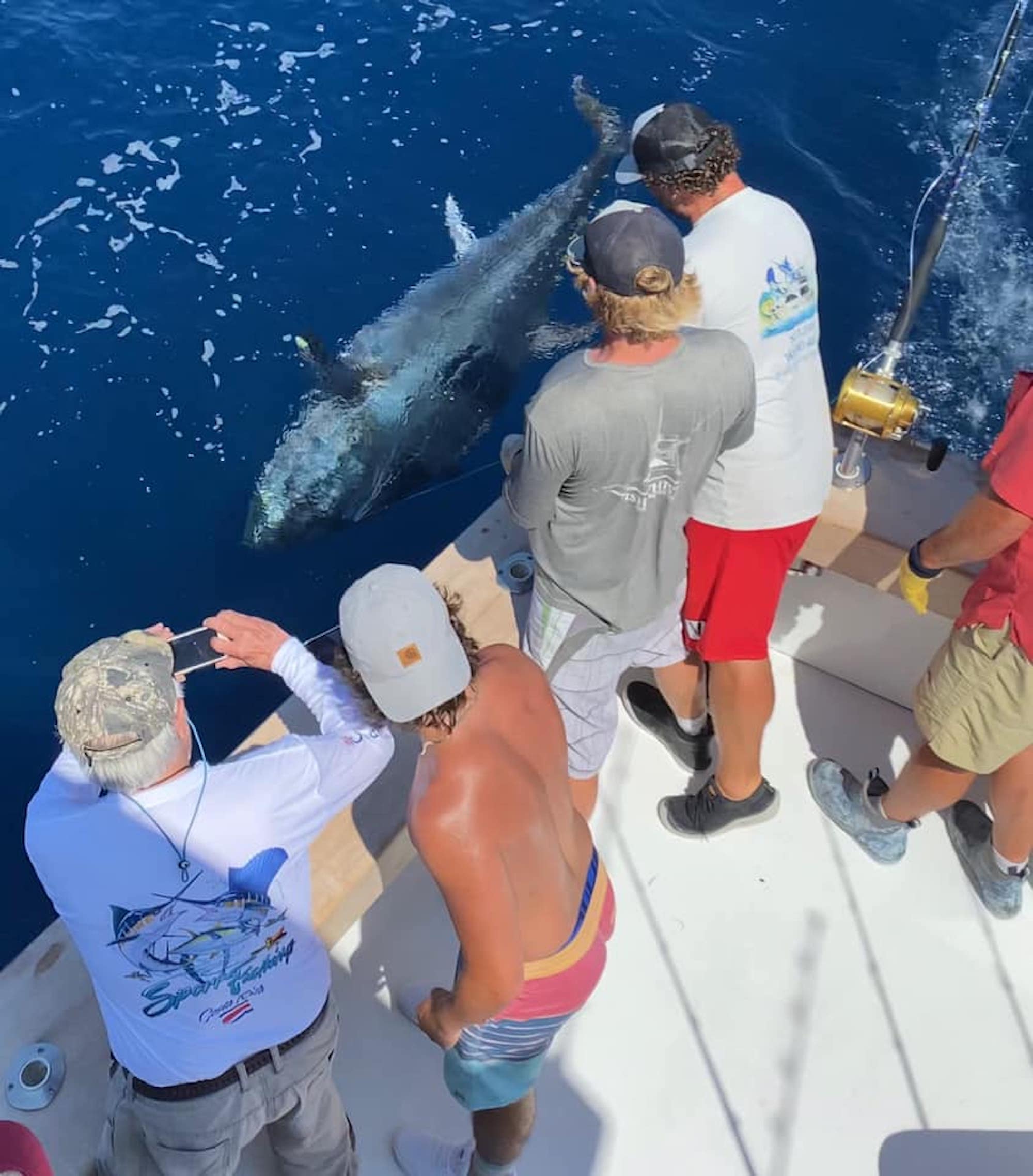 Insane July Marlin Fishing and Giant Bluefins in the Deep