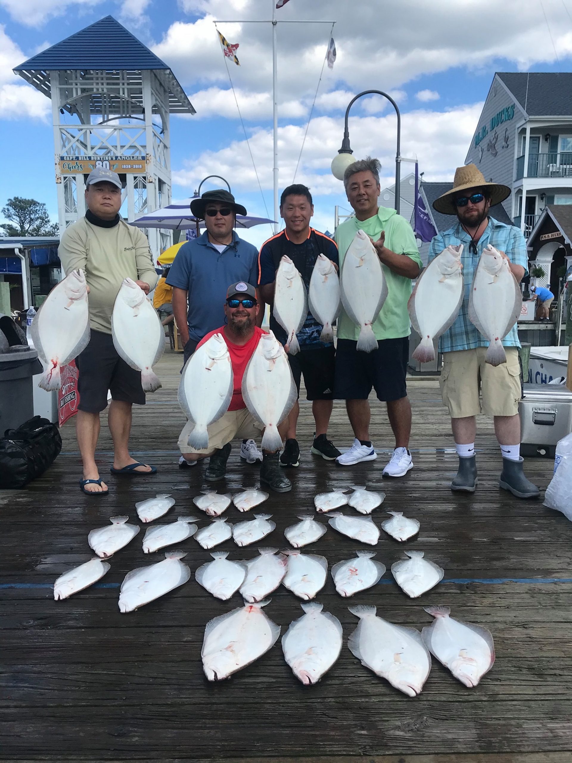 Nice Class of Fish
