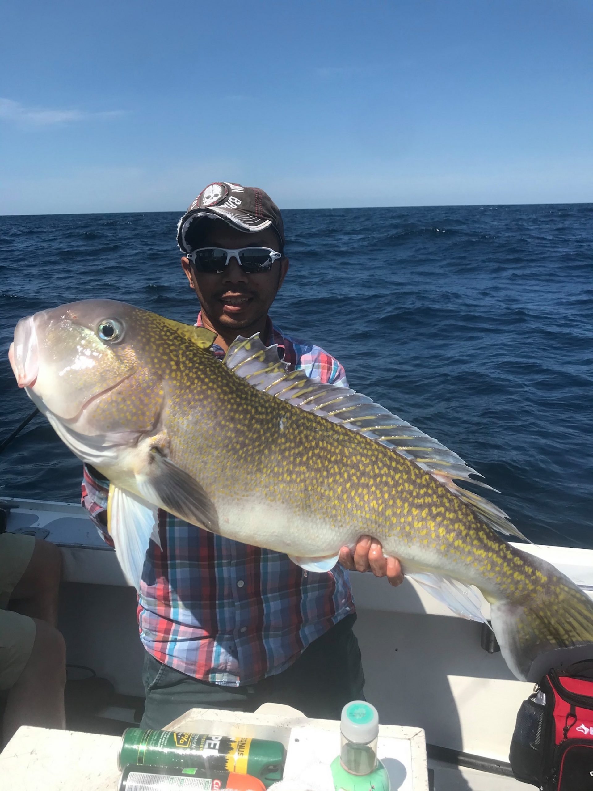 Tilefish, Mahi and Some Snapping Flounder