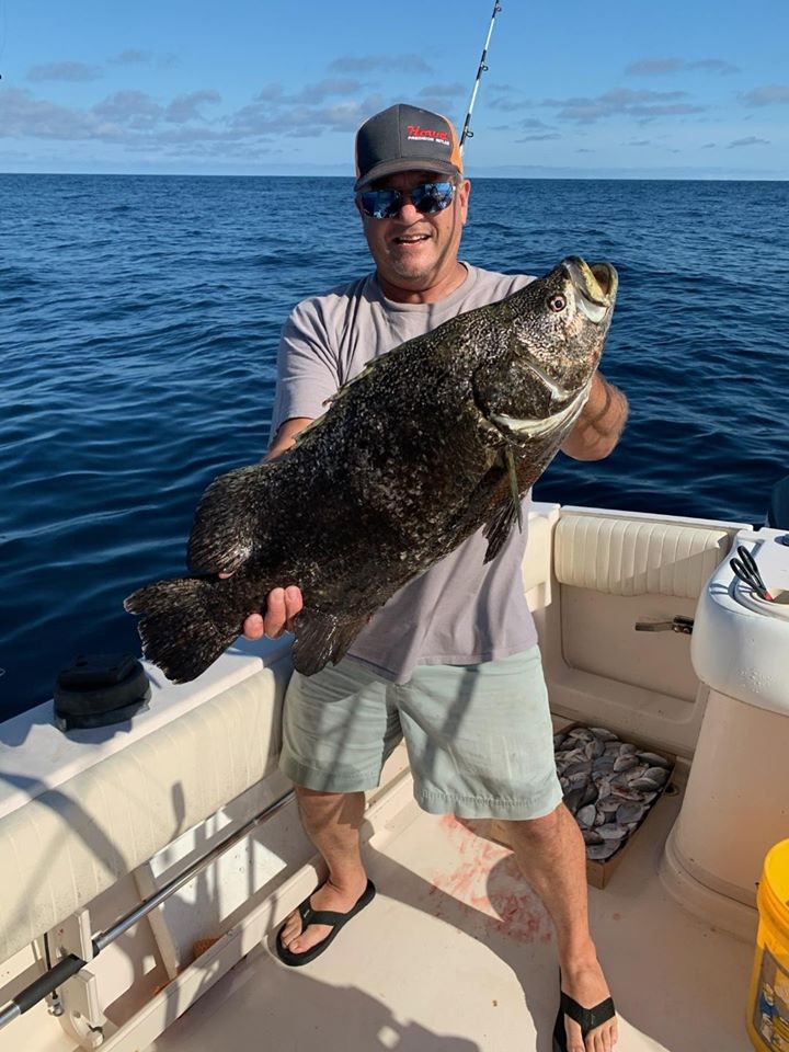 Jumbo Tripletail