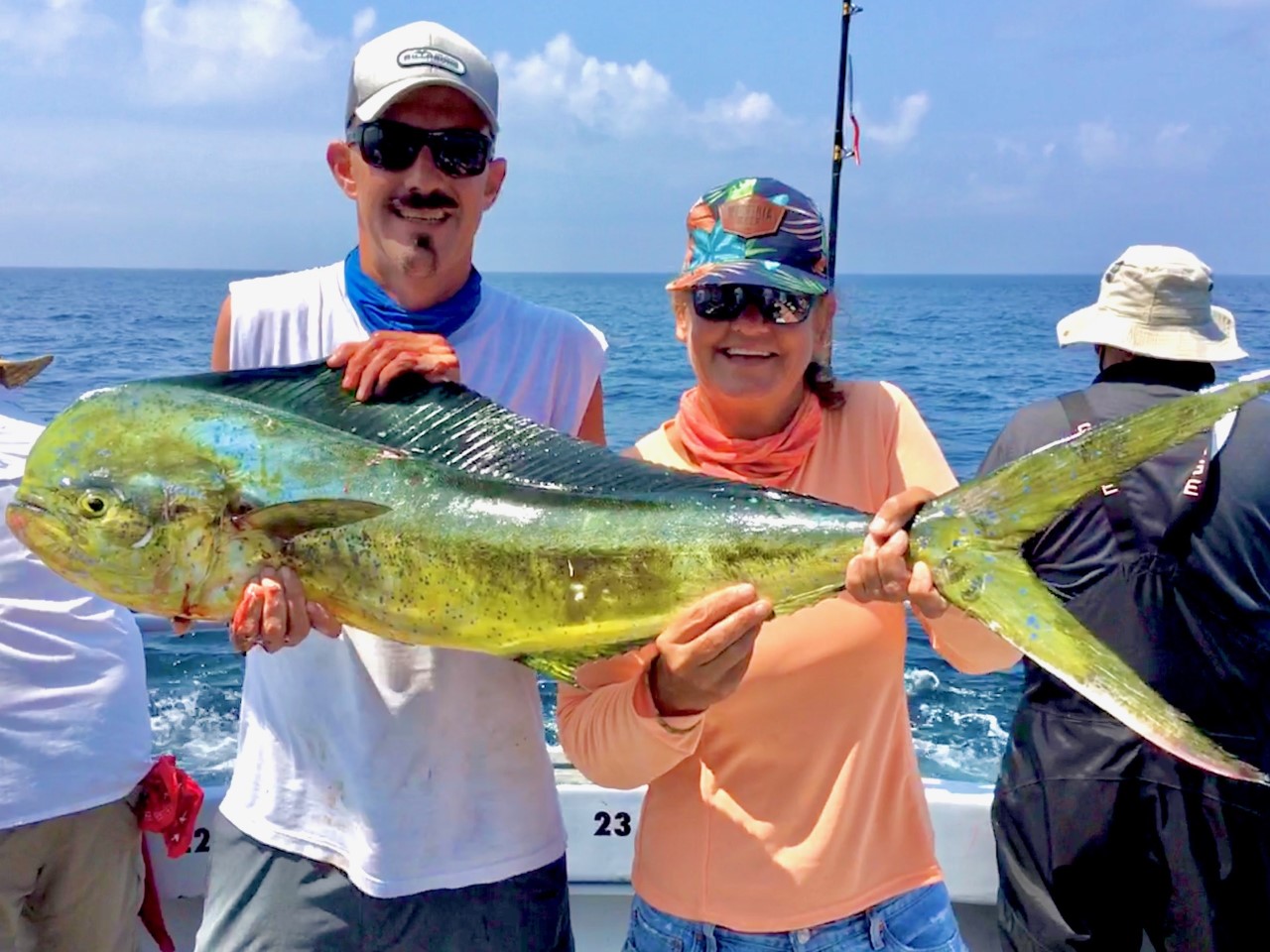 Sea Bass, Mahi and White Marlin