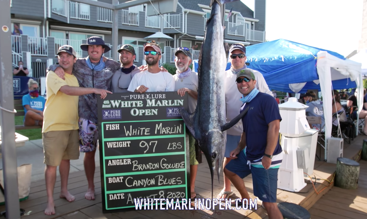 Back to Work After $1.85 Million Dollar Marlin