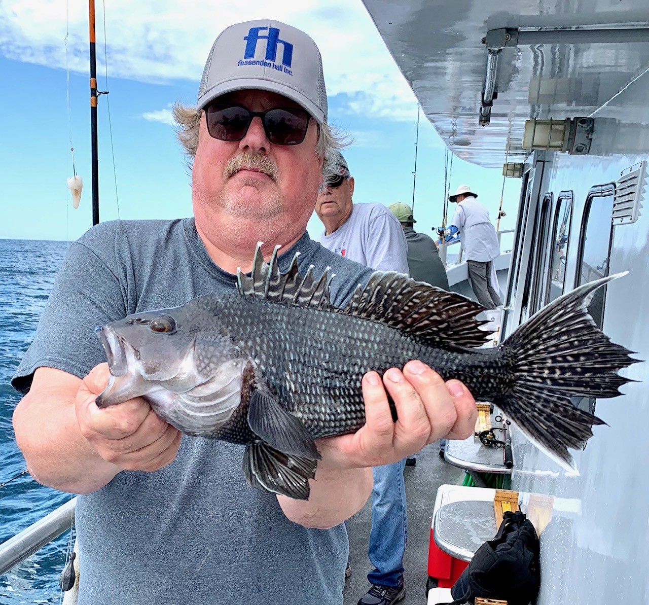 Found Sea Bass Chewing Hard