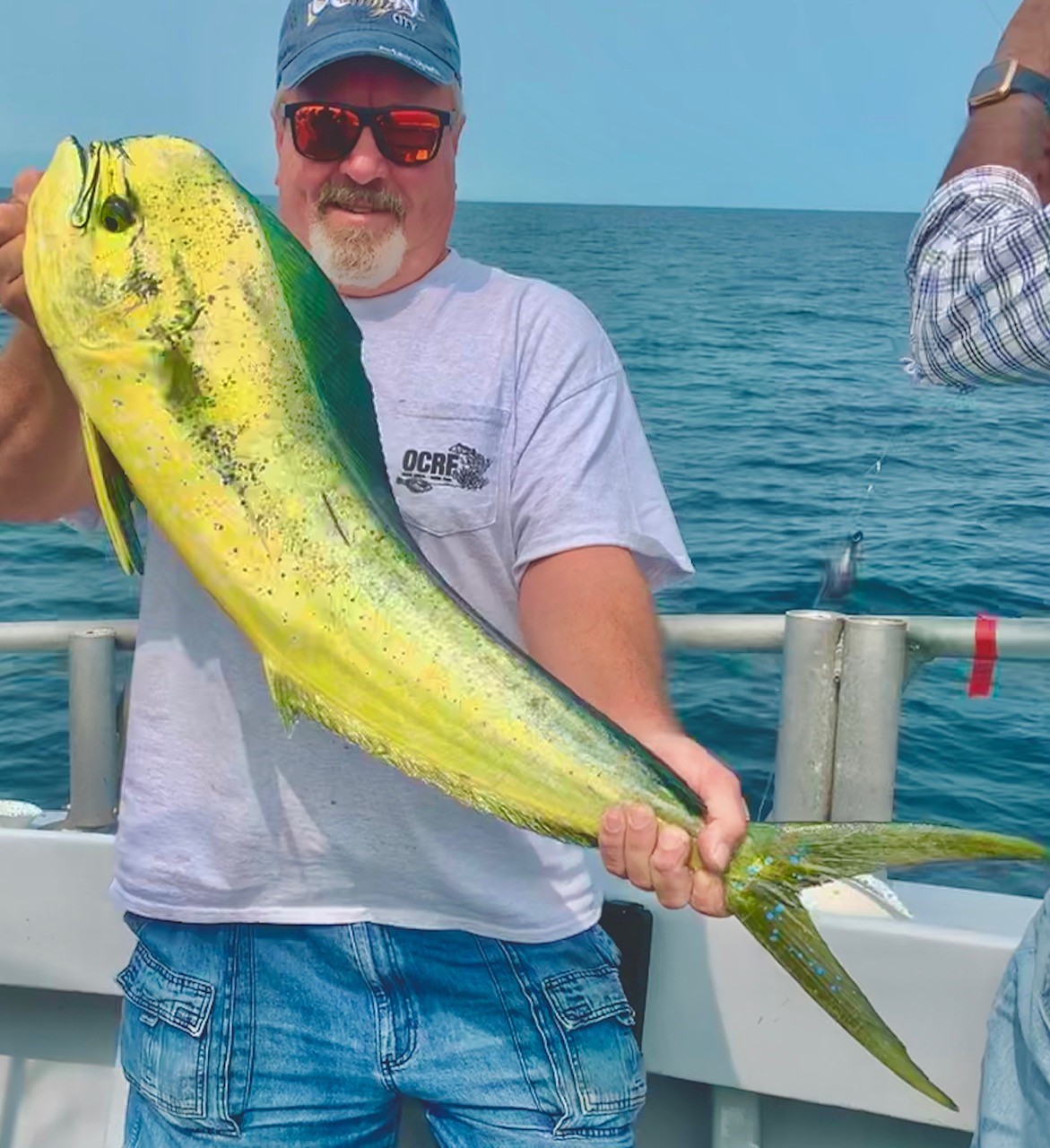 Limits of Sea Bass and Some Mahi with A Right Decent Inshore Jumbo