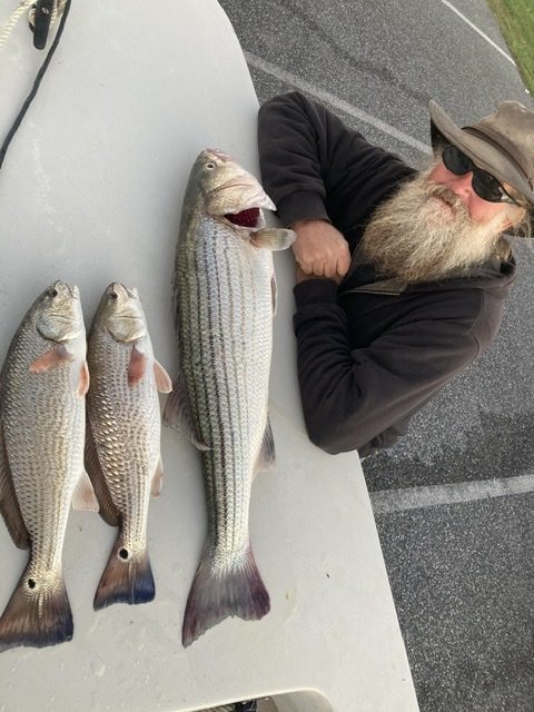 Halloween Reds and Rock