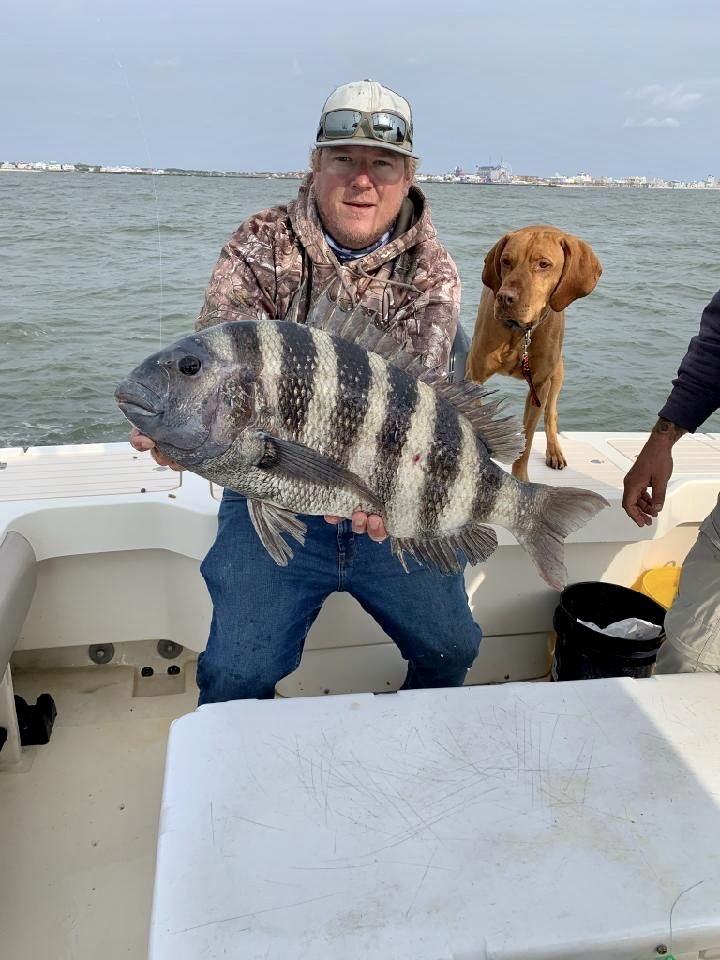 Day One at the 2020 Ocean City Inshore Classic