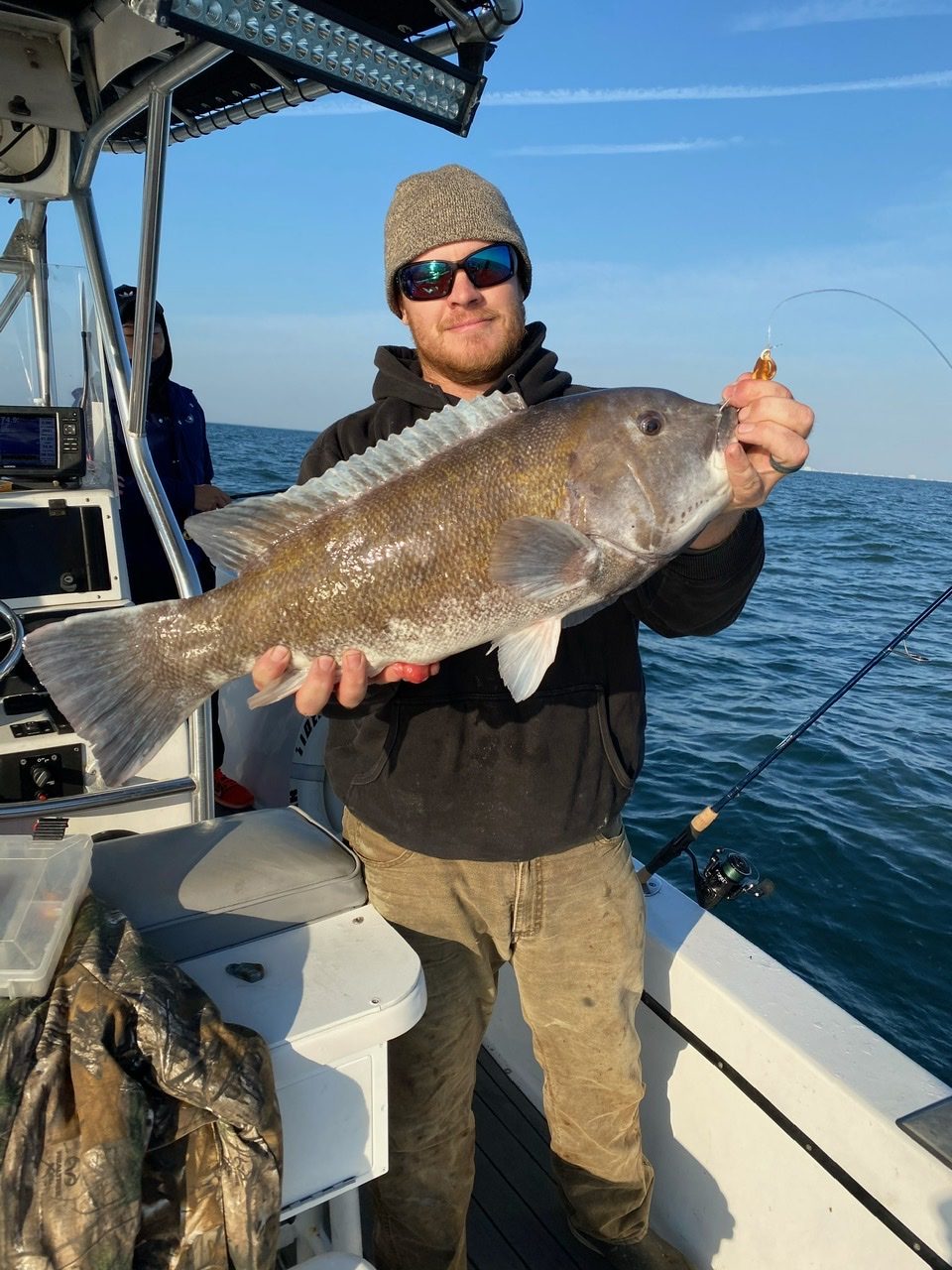 Some Bigger Tog Starting to Chew