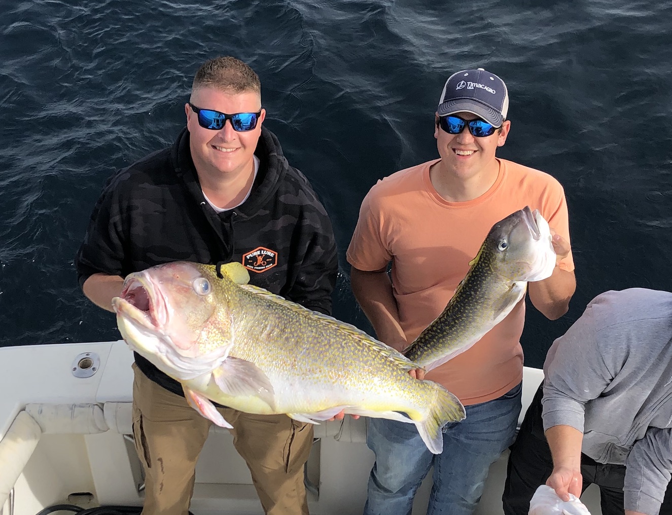 Flat Calm Seas and All Kinds of Fishes