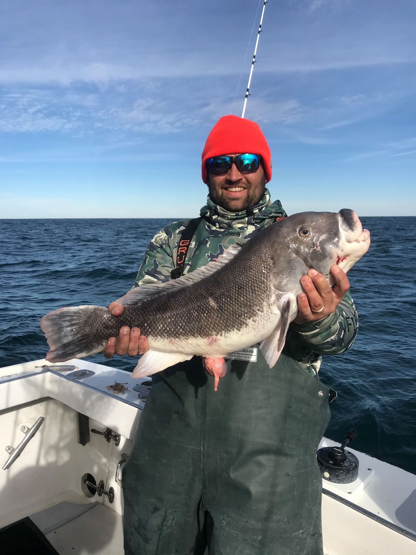 Limits of Tog and Sea Bass