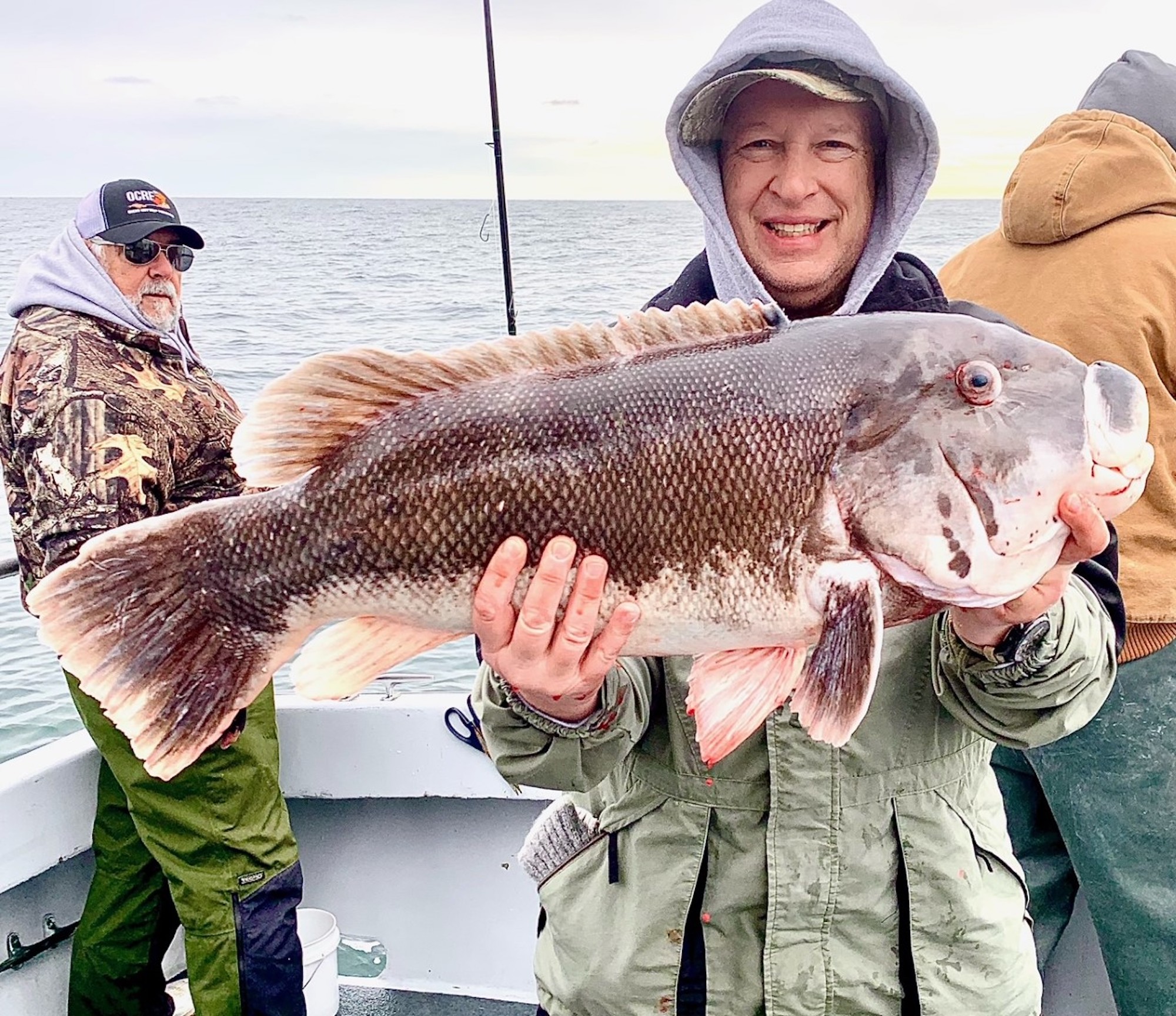 Some Big Tautog Today