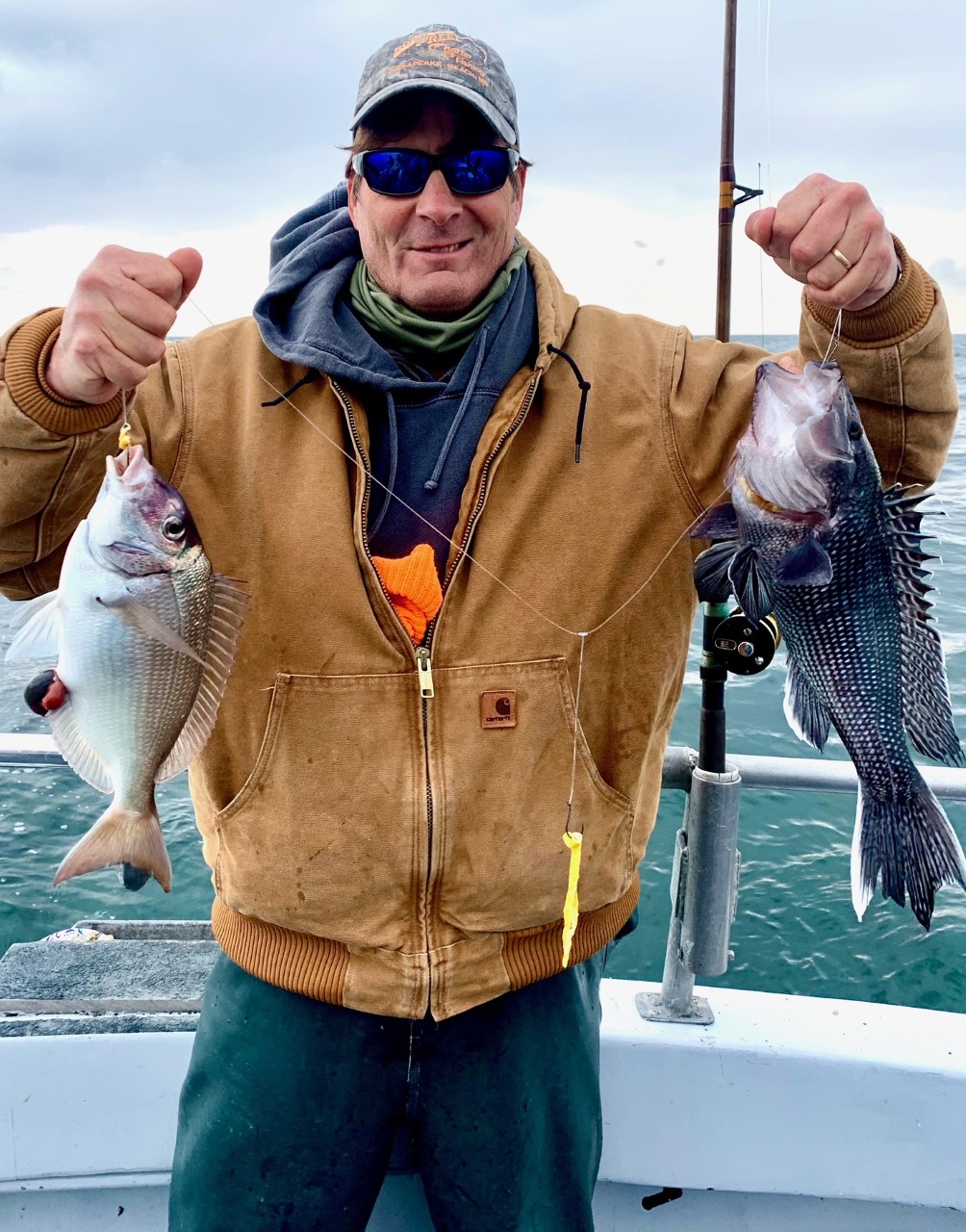 Gorgeous Sea Bass Going Back