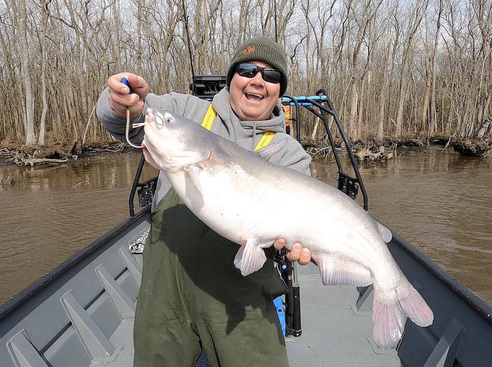 Big Ol’ Catfish