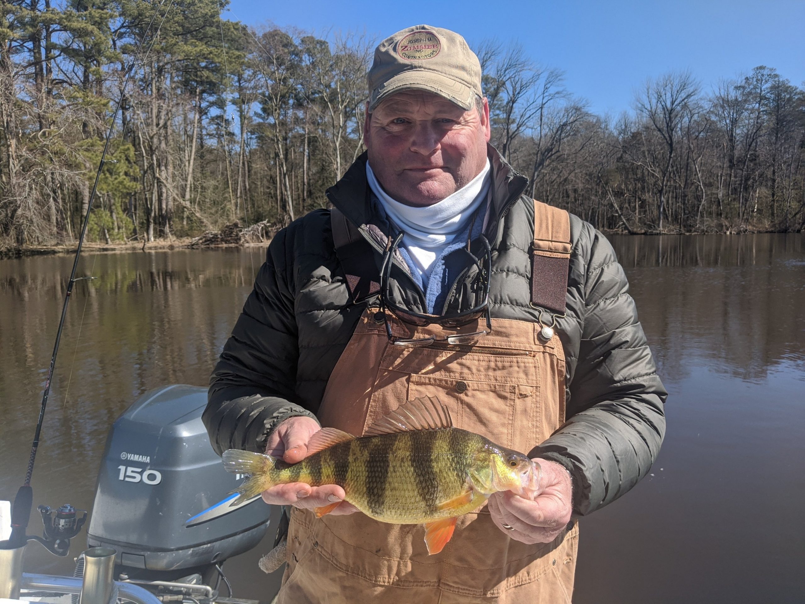 White Perch, Yellow Perch and Giant Bluefins