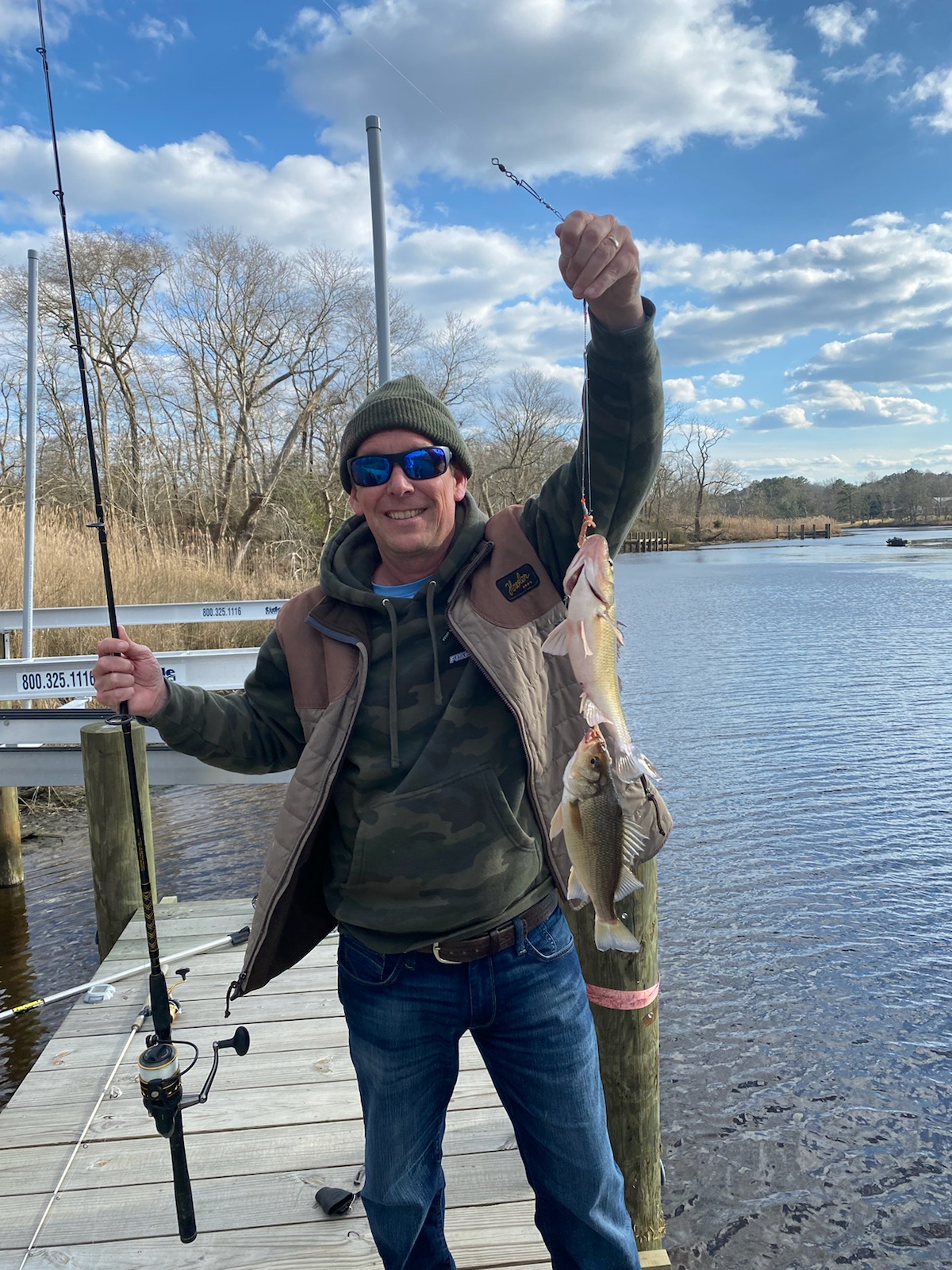 The White Perch Are Back