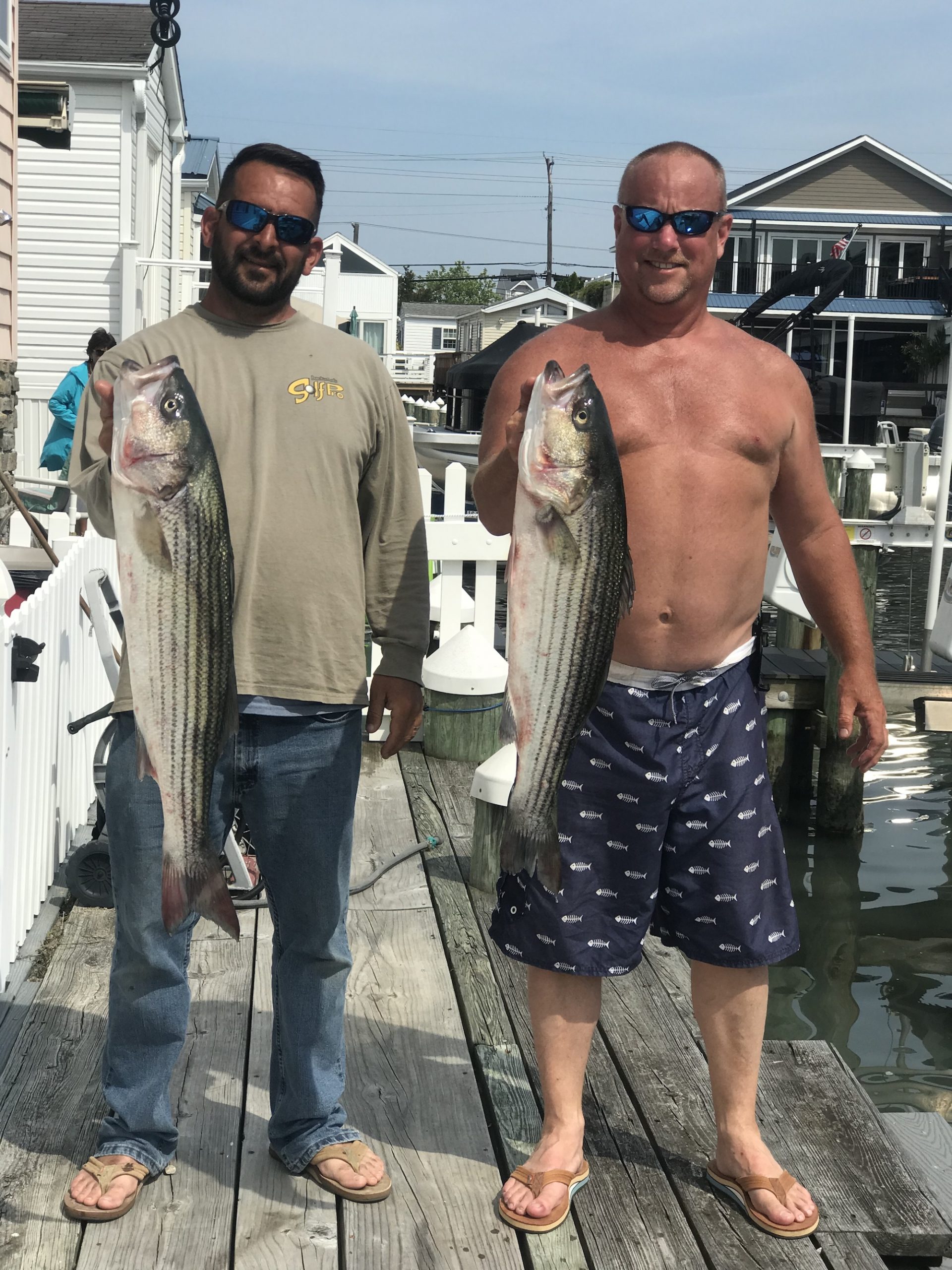 2 For 2 on White Marlin