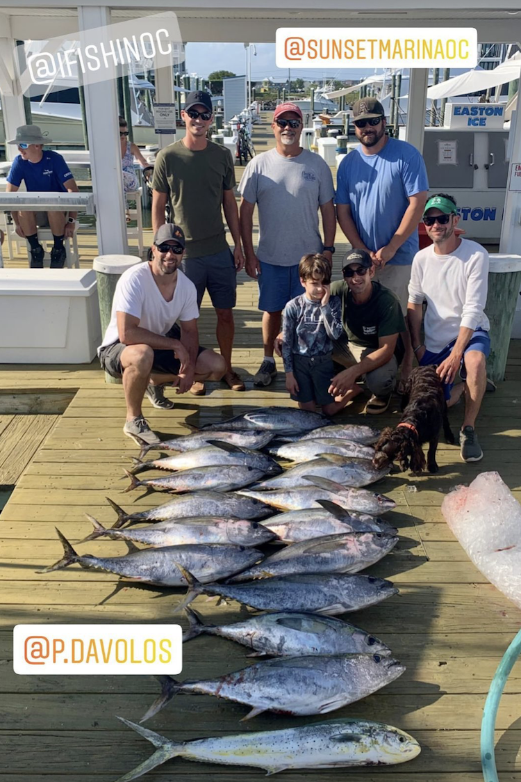 Still Managed Some Fish