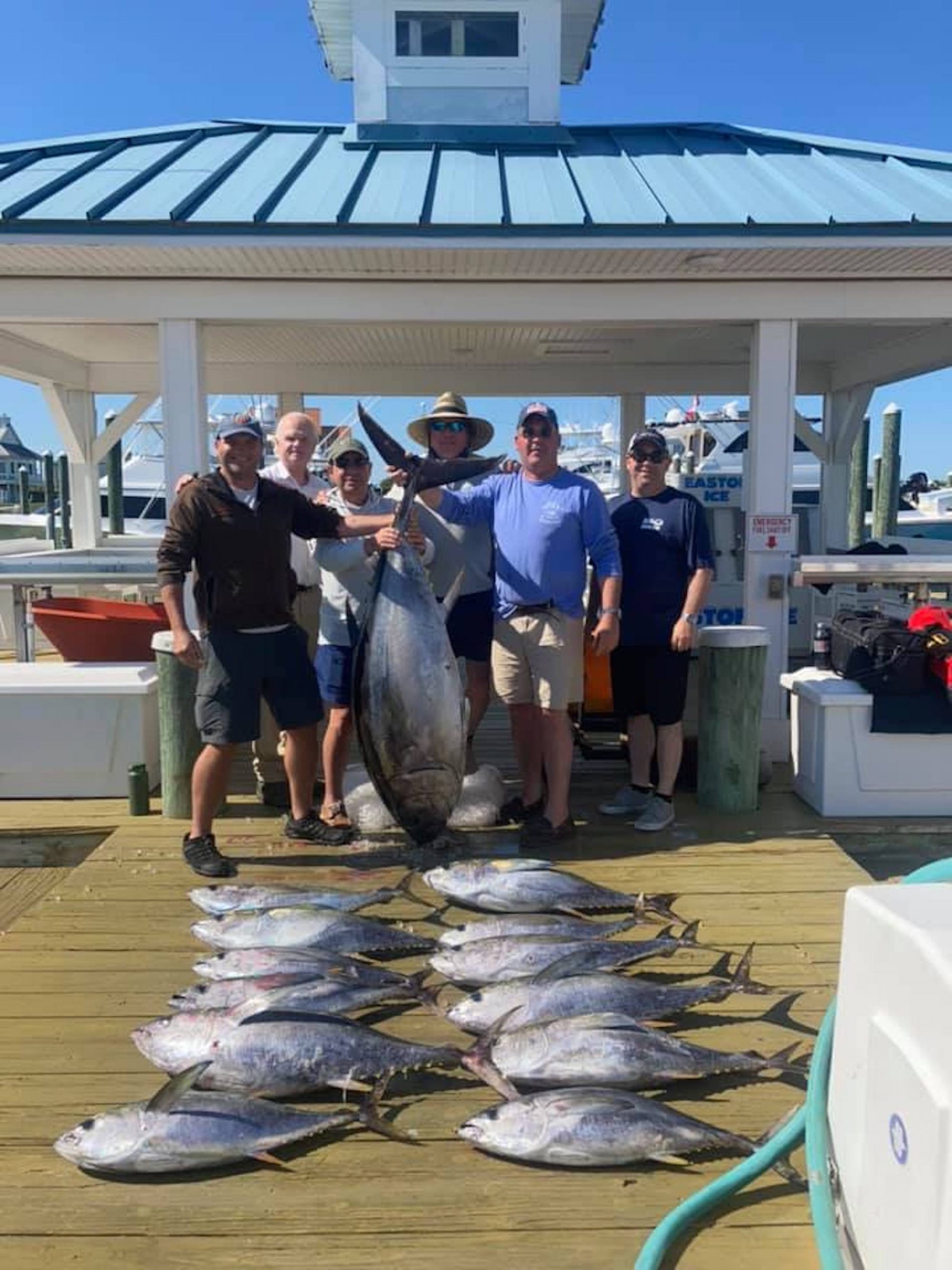 Tuna Were Snapping Hard Again Today