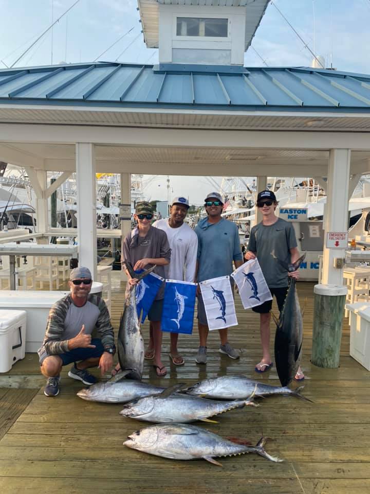 Some Marlins Showing Up