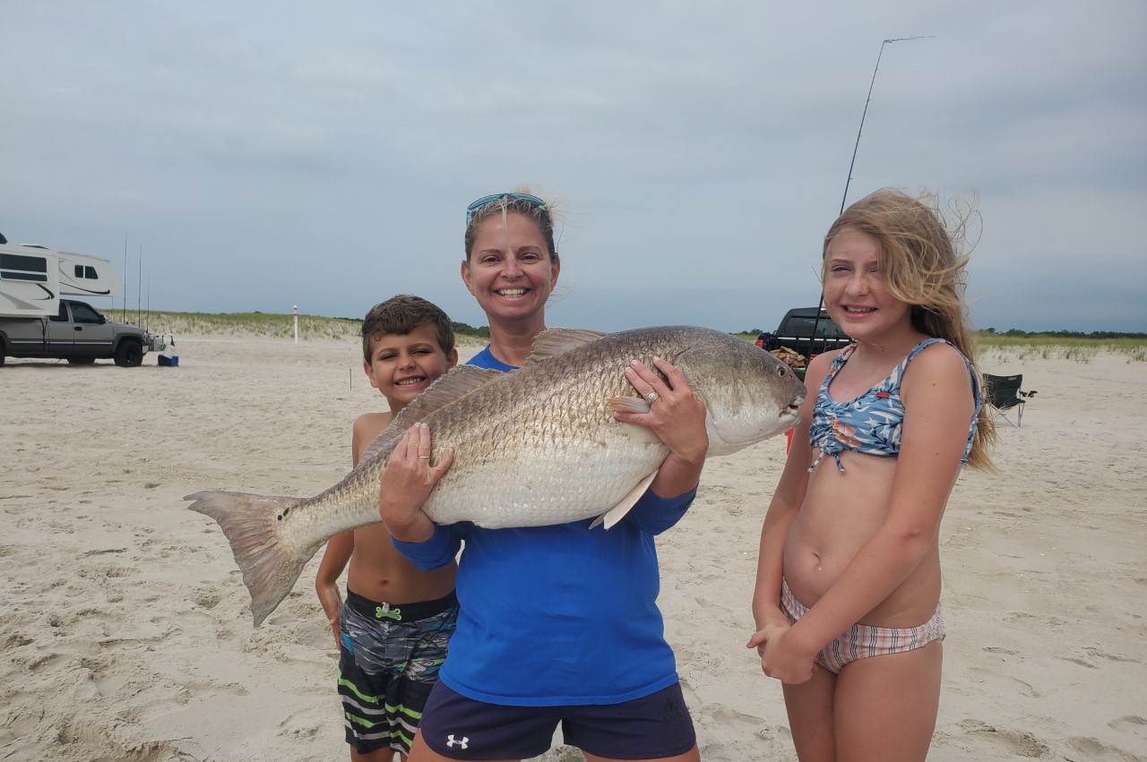 Big Reds in the Assateague Surf