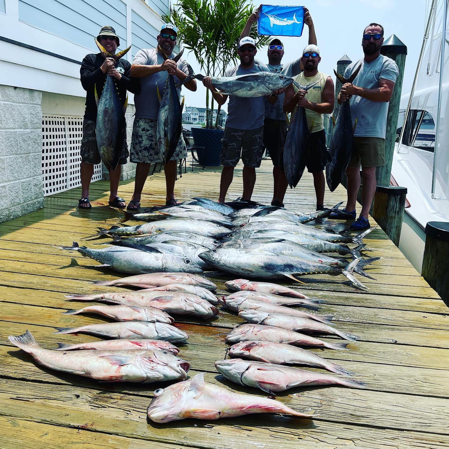 Great Yellowfin Bite With Some Longfins Mixed In