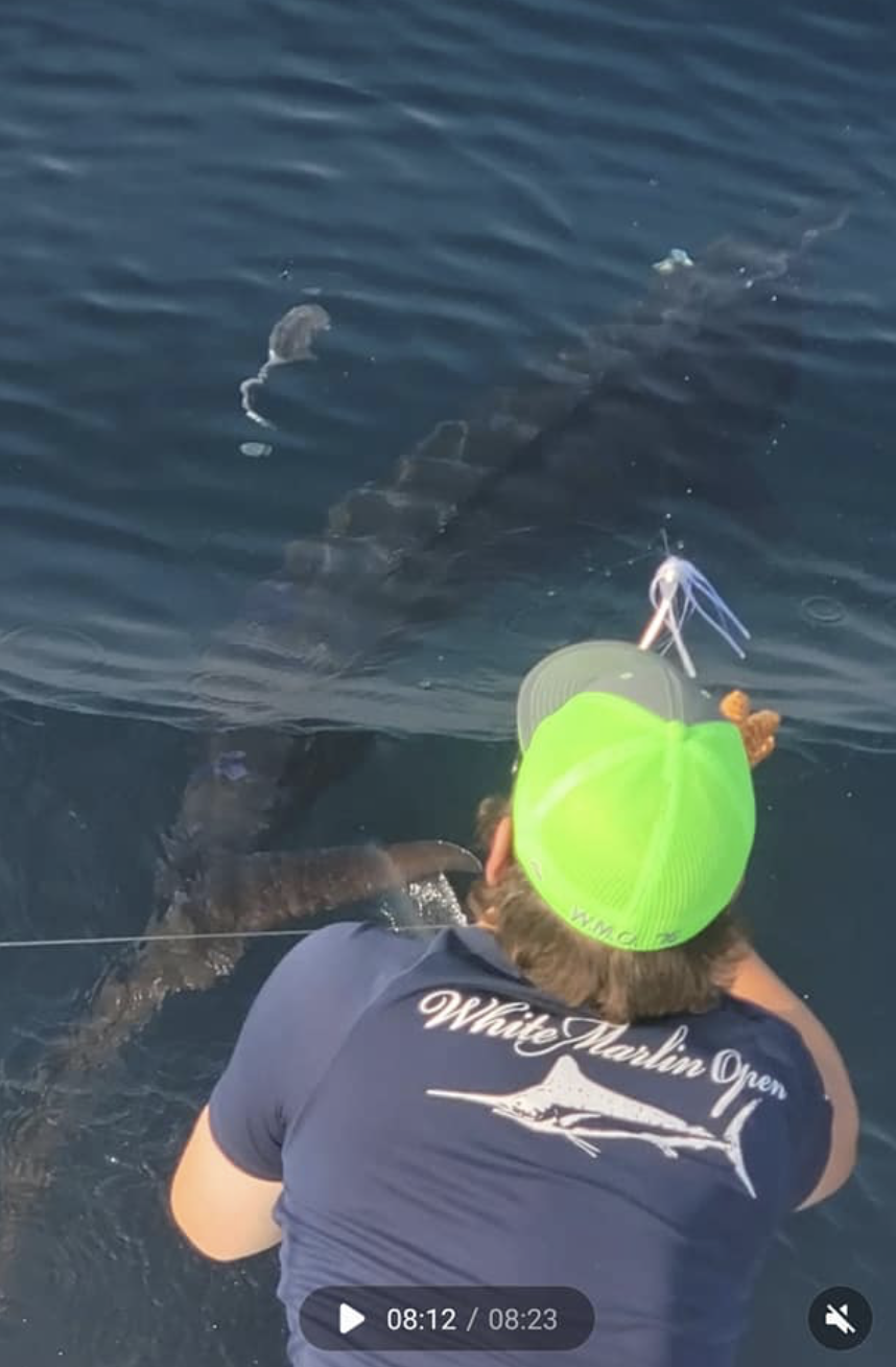 Right Fish, But Wrong Week