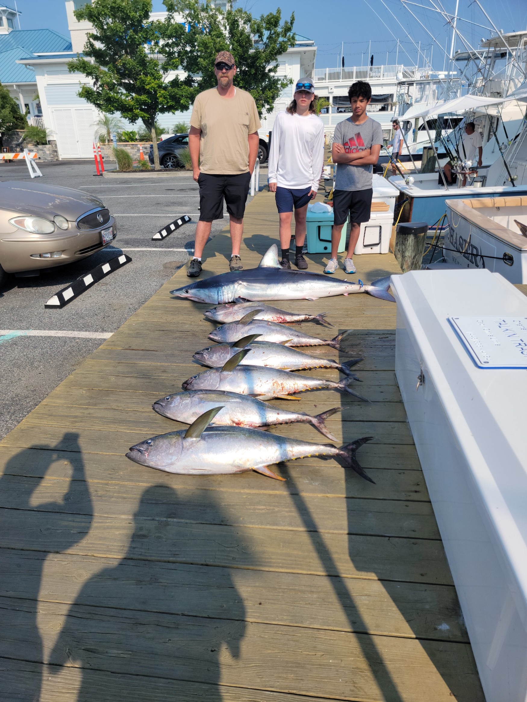 Sea Bass, Flounder, Bluefish, Rockfish, Tuna and a Mako Shark
