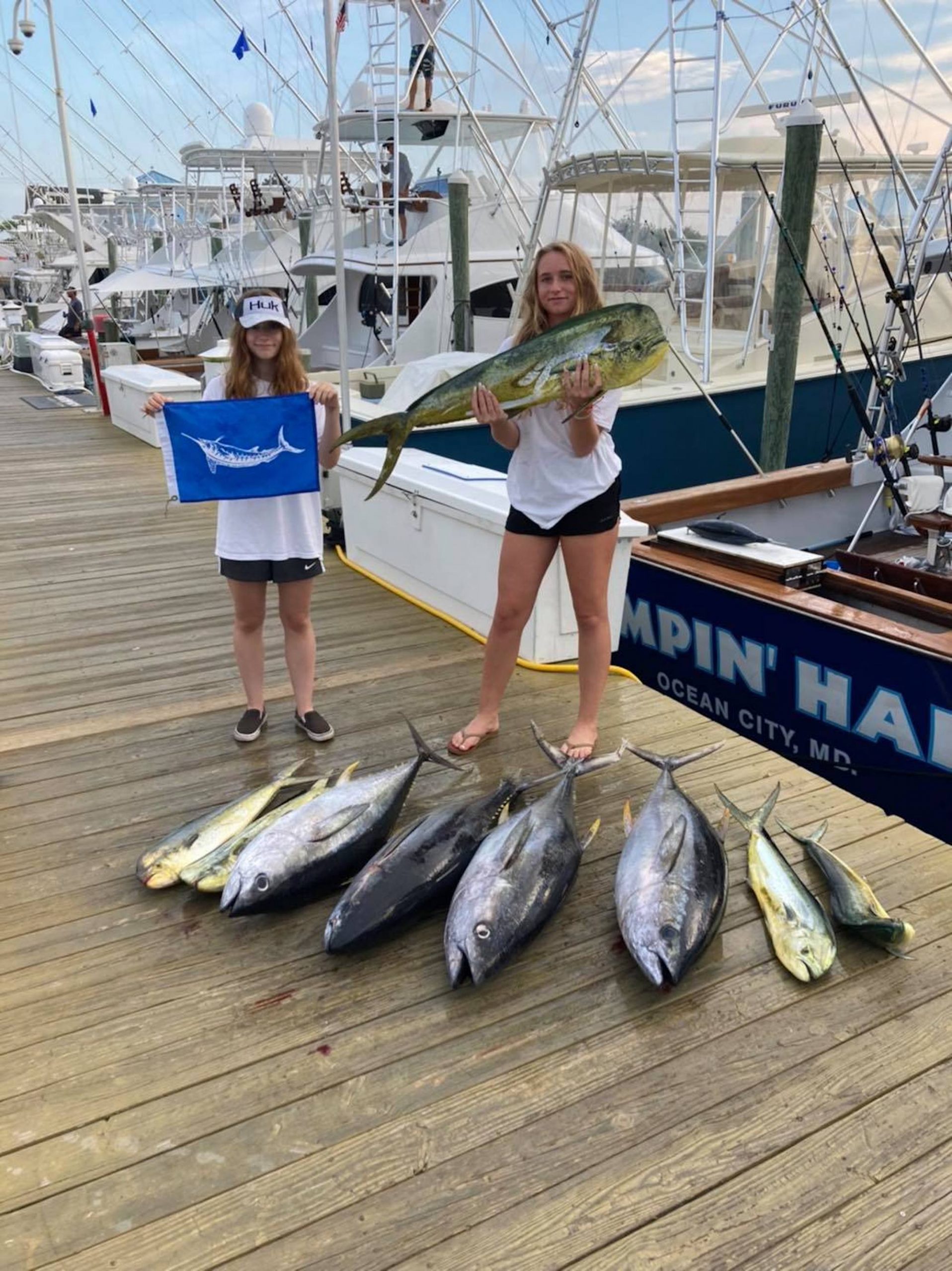 Blue Marlin Coughed Up a Tuna